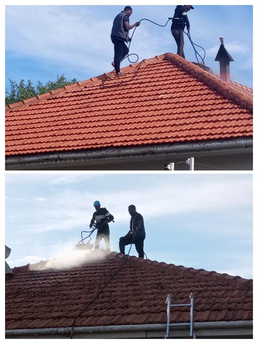Moss and lichen removed from roof tiles, Cape Town