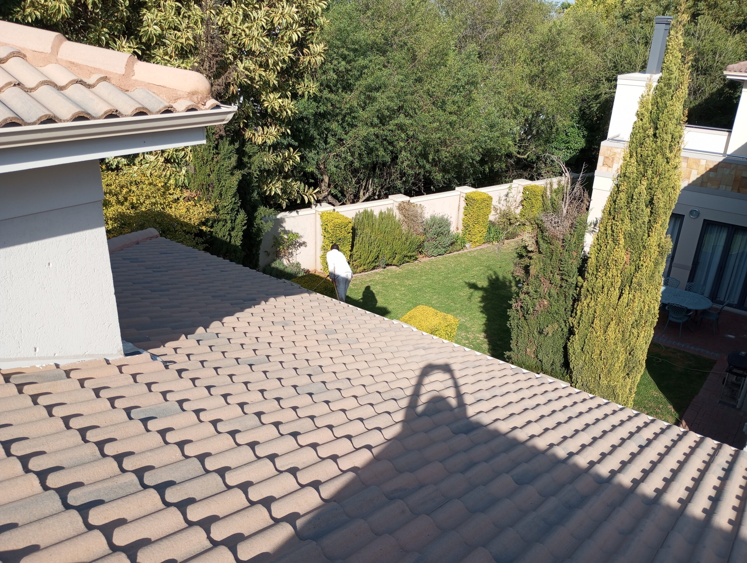 roof cleaning